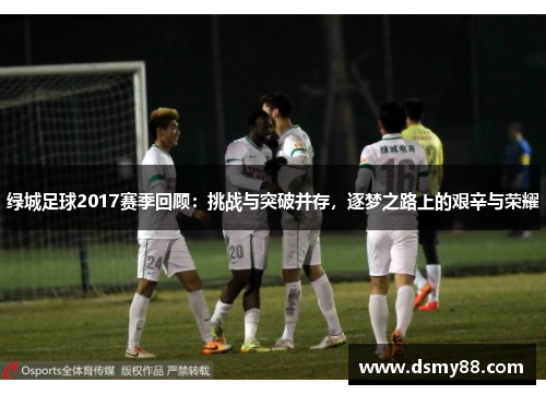 绿城足球2017赛季回顾：挑战与突破并存，逐梦之路上的艰辛与荣耀