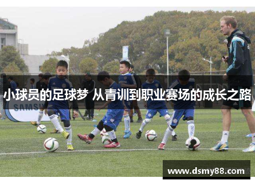 小球员的足球梦 从青训到职业赛场的成长之路